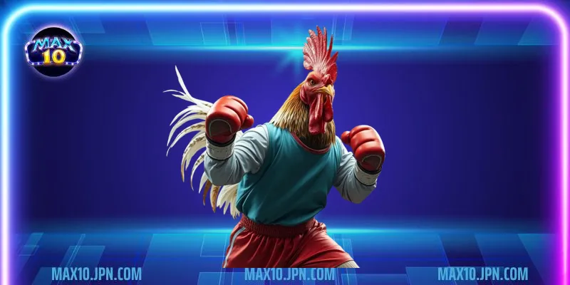 Quy tắc tham gia chơi đá gà Thomo