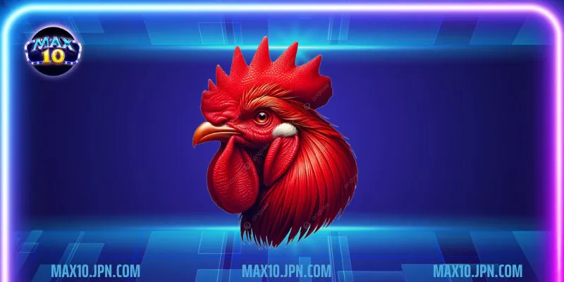 Ưu điểm của đá gà thomo