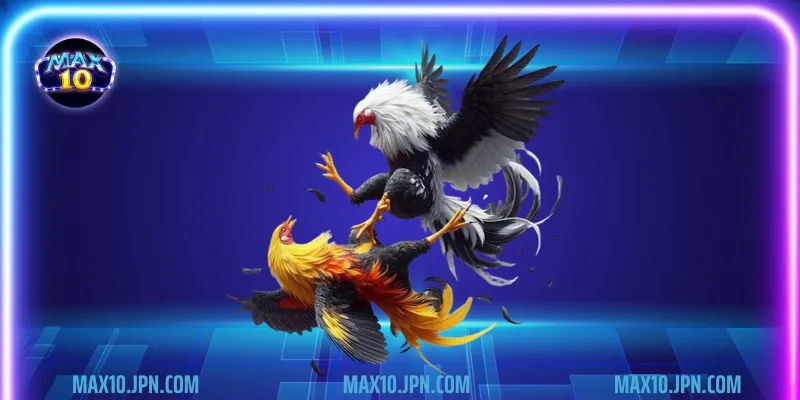 Ưu điểm có tại sảnh cược đá gà