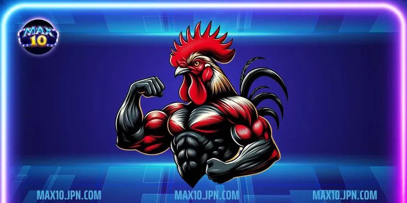 Cách soi kèo cược đá gà chính xác