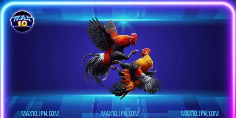 đá gà philippines