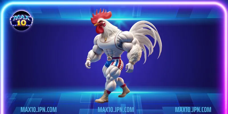 Các quy định khi chọn chơi giống gà peru